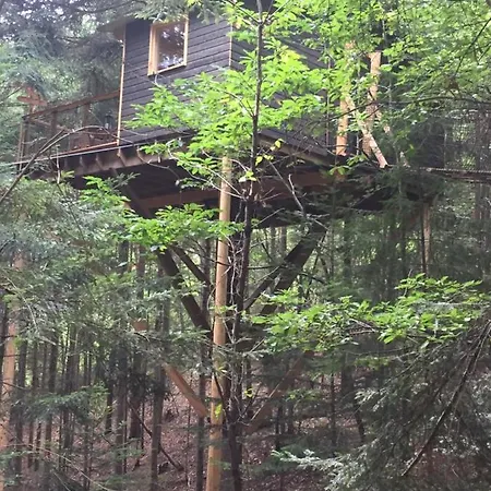 Luxury tent De L'ecureuil *