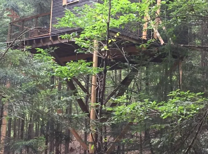 Luxury tent De L'ecureuil *